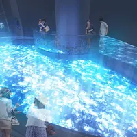 新クラゲ展示エリア イメージ