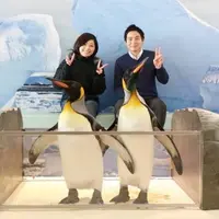オウサマペンギンと記念撮影 イメージ