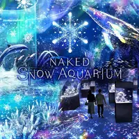 「NAKED SNOW AQUARIUM」