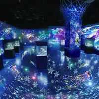 「MARINE SNOW DOME」※イメージ