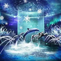 「BRIGHT CRYSTAL」 ※イメージ