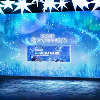 「BRIGHT SNOW」 ※イメージ