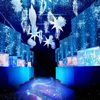 「WINTER COLOR STREET」 ※イメージ