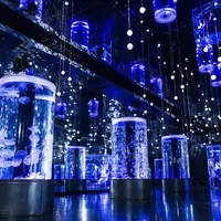 「Jellyfish Ramble」 ※イメージ
