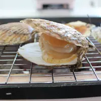 ホタテ イメージ