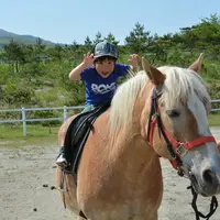 ハーフリンガーの引き馬体験 イメージ