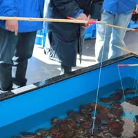 ホタテ釣り イメージ