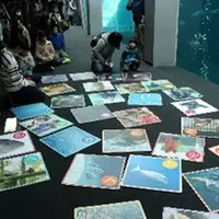 過去開催時の様子