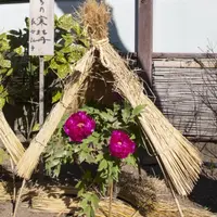 荒縄を用いた男結び