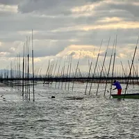 有明海産佐賀海苔の風景