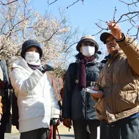 日本梅の会 会長大坪孝之先生による『梅園ガイドツアー』