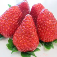 古都華 イメージ