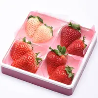 4種食べ比べ イメージ