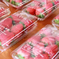 横浜市農家いちご イメージ