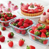 ピーターラビット(TM) カフェのストロベリー・ハント