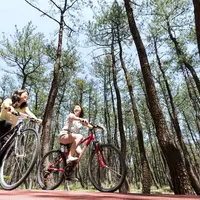 サイクリング イメージ