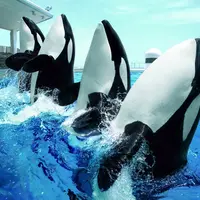 鴨川シーワールド