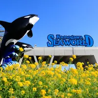 鴨川シーワールド