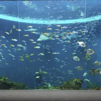 鴨川シーワールド