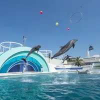 鴨川シーワールド