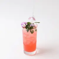 ハイビスカスドリンク イメージ