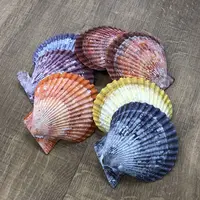 ヒオウギガイ