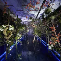 江戸東京あかり展 produced by 日本あかり博
