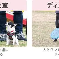 サブイベント情報