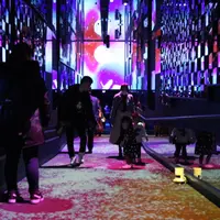 昨年開催した「桜とクラゲ」のようす