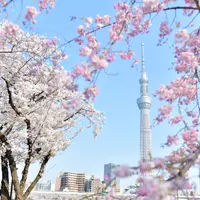 （c）TOKYO-SKYTREE