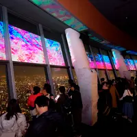「SKYTREE ROUND THEATER(R)」春の限定特別プログラム（過去の様子） （c）TOKYO-SKYTREE
