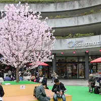 ソラマチさくらまつり（昨年の様子） （c）TOKYO-SKYTREETOWN