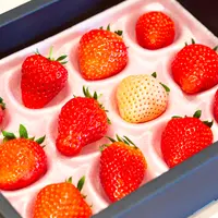 食べ比べセット イメージ