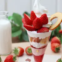 ＜阿部牧場×King Farm Cafe＞（熊本）いちごパフェ