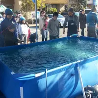釣り体験 イメージ