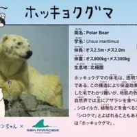 教えてくれるタイプの解説版