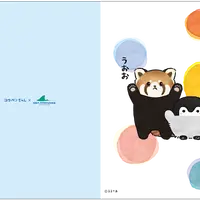 Merengue：クリアファイル（レッサーパンダ）