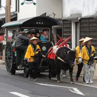 春の有田を牛車でおさんぽ