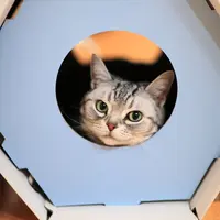 「もう少し遊びませんか？」