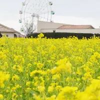 2020年1月24日（金）撮影