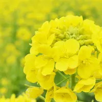 2020年1月24日（金）撮影