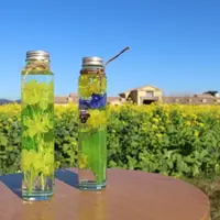 菜の花のハーバリウム作り