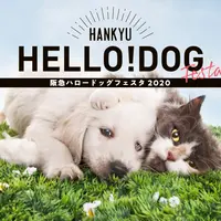 阪急ハロードッグフェスタ