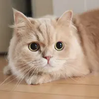すず