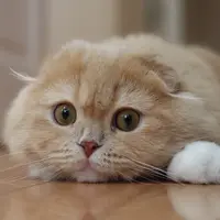 すず
