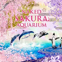 NAKED SAKURA AQUARIUM