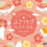 スプリングフェスティバル