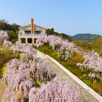 心の手紙館