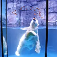 ホッキョクグマのお花見