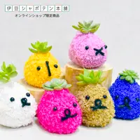 伊豆シャボテン本舗